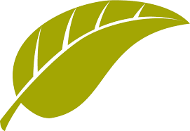 Beaumont Accountancy Services (MIDDLESBROUGH) Logo